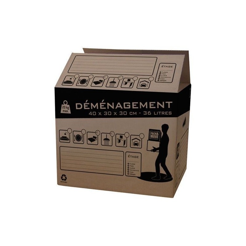 Pack & Move Carton déménagement 36L