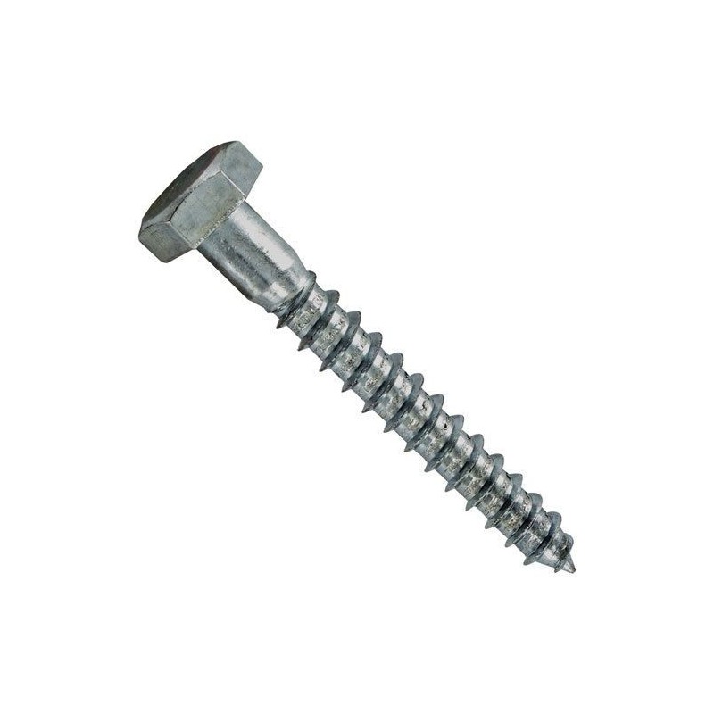 Vynex Tirefond azi 10x80mm  x20 en boîte