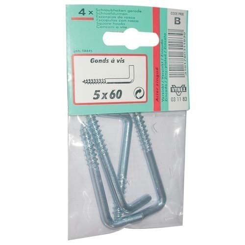 Vynex Gond à vis zingué 6 x80 sc X2