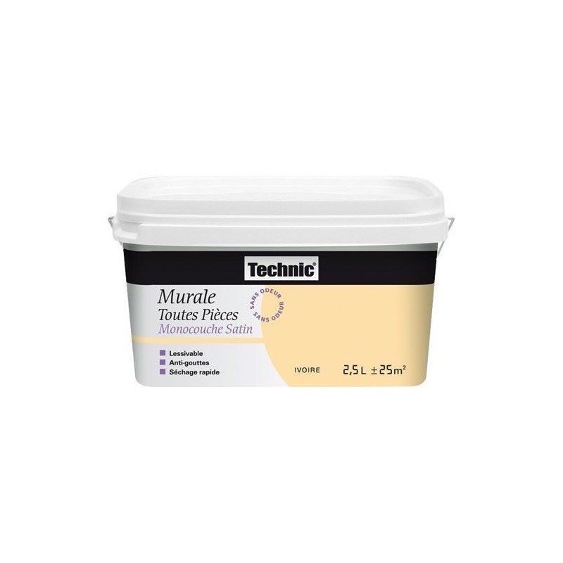 Technic Murale toutes pièces monocouche satin 2.5l anis
