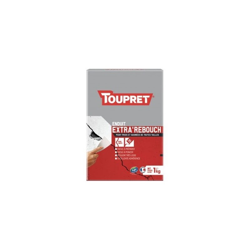 Toupret Enduit rebouchage intérieur blanc poudre 1kg