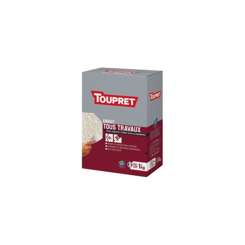 Toupret Enduit tous travaux extérieur poudre 1kg blanc