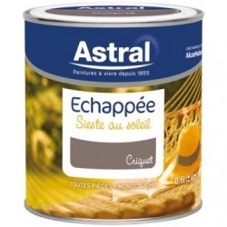 Astral Echappée satin 0.5L criquet - Image 3