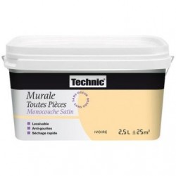 Technic Murale toutes pièces monocouche satin 2.5l taupe - Image 3