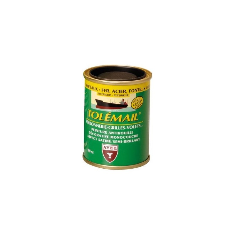 AVEL Tolémail spécial ferronnerie 100ml gris perle