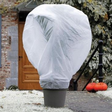 NORTENE Wintertex voile d'hivernage 2x10m