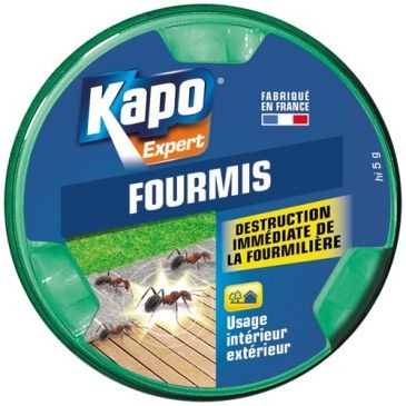 Kapo Boite appat formicide 10gr