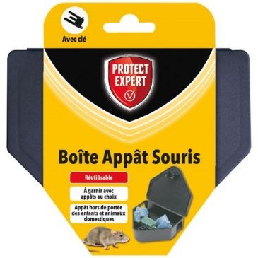 Protect expert Boite appât souris avec clé de fermeture /nc
