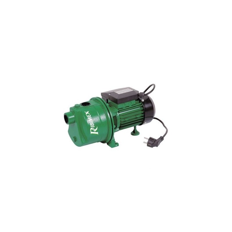 Ribimex Pompe de surface jet61 600W corps fonte