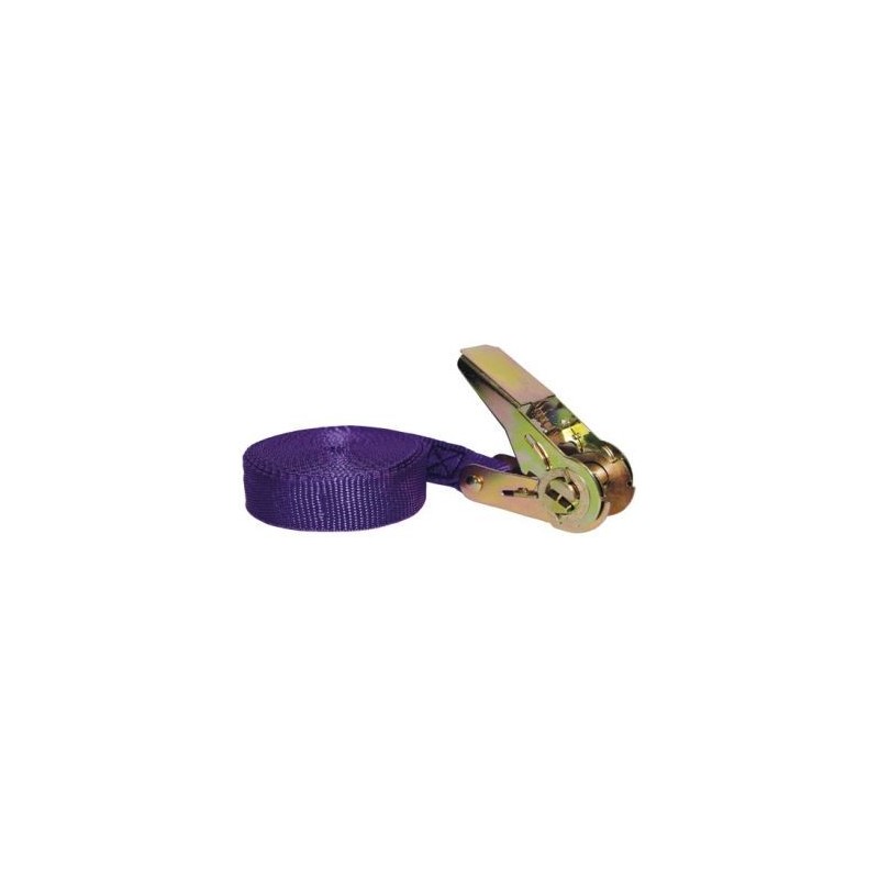 CHAPUIS Sangle polyprolène tendeur cliquet 25mm 5m 80kg uc1