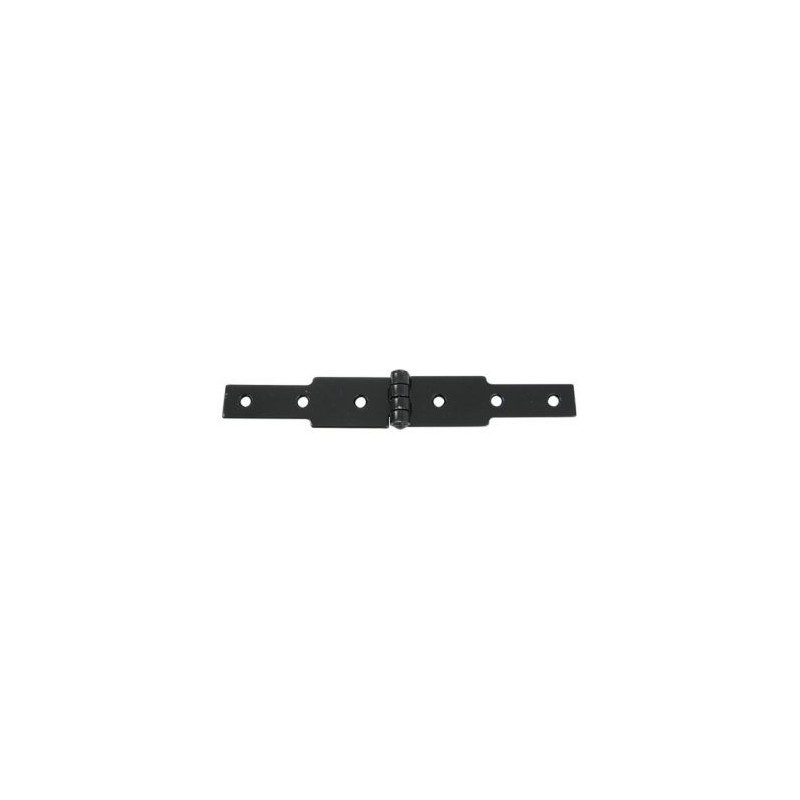 Afbat Charnière à conge 40x30 2xl120mm noir