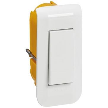 Legrand Interrupteur ou va-et-vient Mosaic 10A étroit +plaque+boite