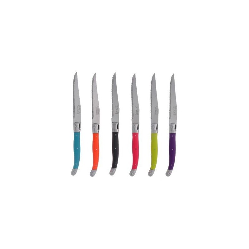 DUBOST COLAS PRADEL Coffret 6 couteaux steack Laguiole Tonic Mix