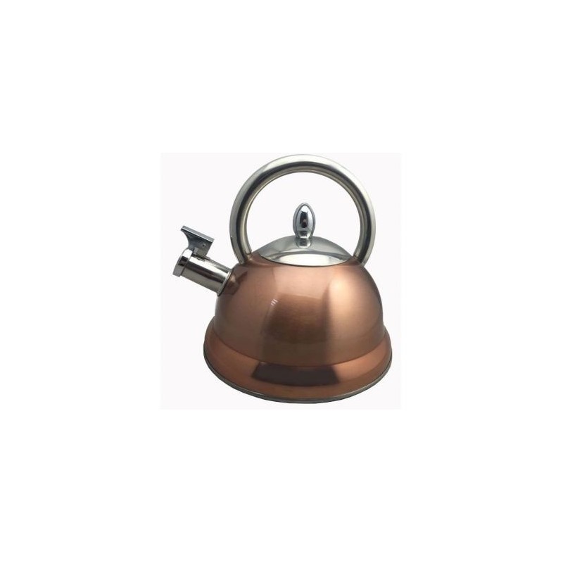 BAUMALU Bouilloire inox coloris cuivre 3l à sifflet