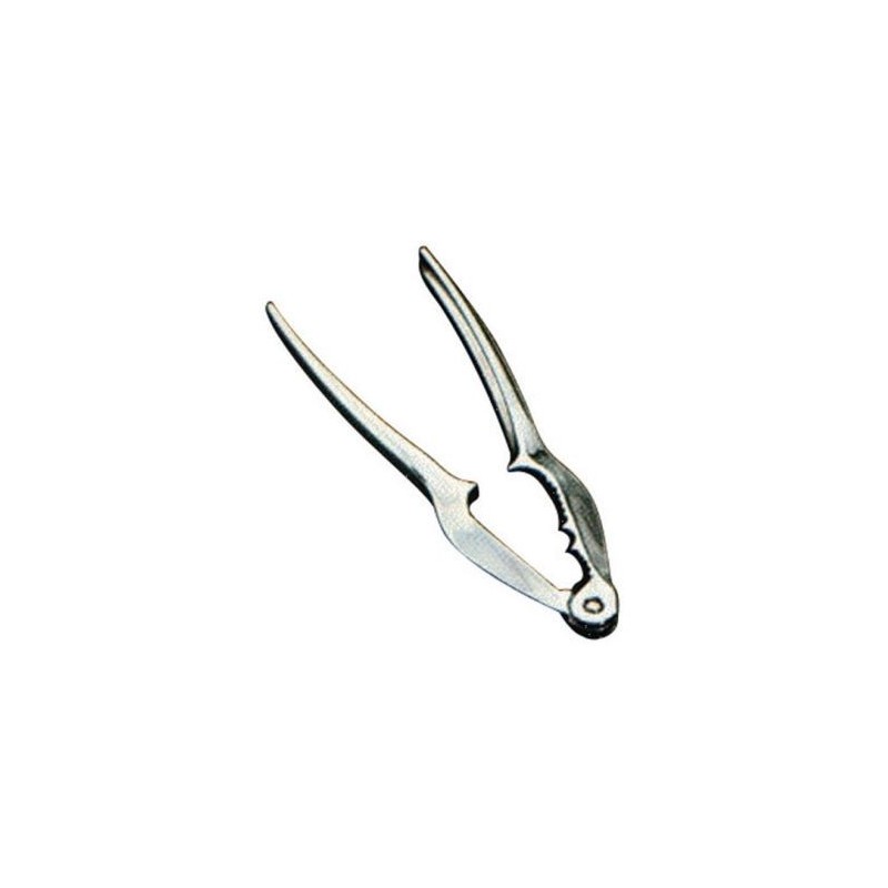 Metaltex Casse noix chrome 250600