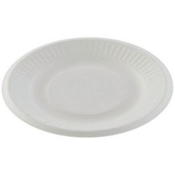Assiette jetable carton blanc 18cm x50