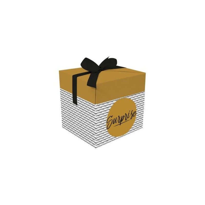 PAPETERIE DU POITOU Boite cadeau popup surprise 20x20x20cm