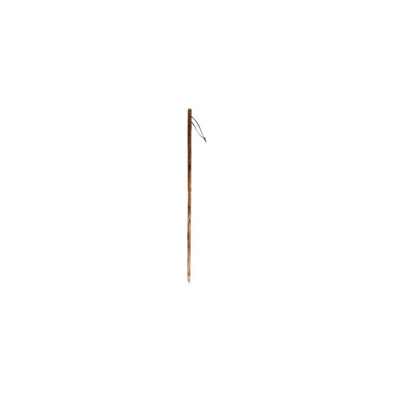CAO Bâton de marche bois sapin 110cm