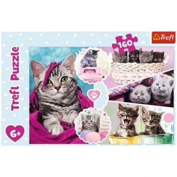 TREFL Puzzle 160 pièces adorables chatons 6ans+