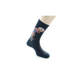 Dagobert à l'envers Chaussettes Caméléon - Image 2