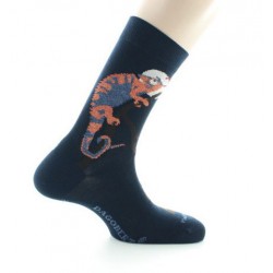 Dagobert à l'envers Chaussettes Caméléon - Image principale