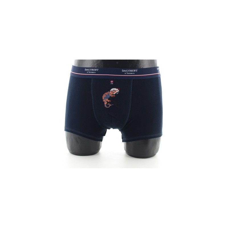 Dagobert à l'envers Boxer Caméléon
