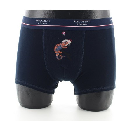 Dagobert à l'envers Boxer Caméléon