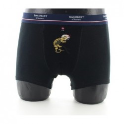 Dagobert à l'envers Boxer Caméléon - Image principale