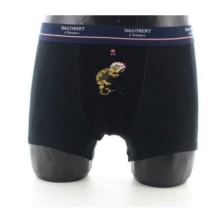 Dagobert à l'envers Boxer Caméléon