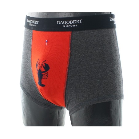 Dagobert à l'envers Boxer original Homard