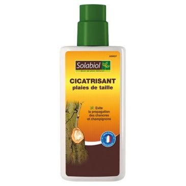 Solabiol Cicatrisant plaies de taille 300g
