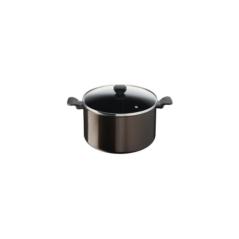 TEFAL Marmite 30 cm 12.2L + couvercle – Easy Cook & Clean