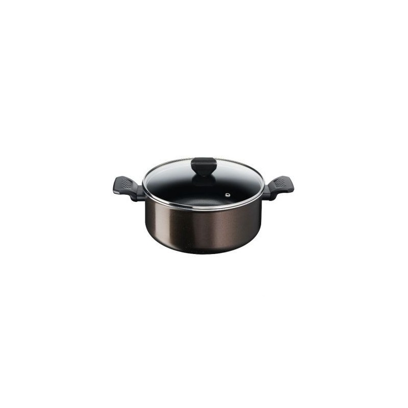 TEFAL Faitout 24 cm 4.7L + couvercle – Easy Cook & Clean