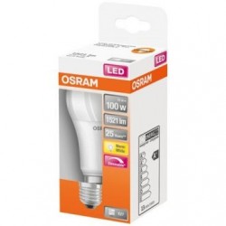 Led standard dépolie...