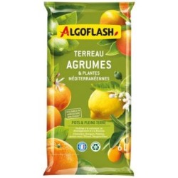 Terreau agrumes et plantes méditerranéennes 6l