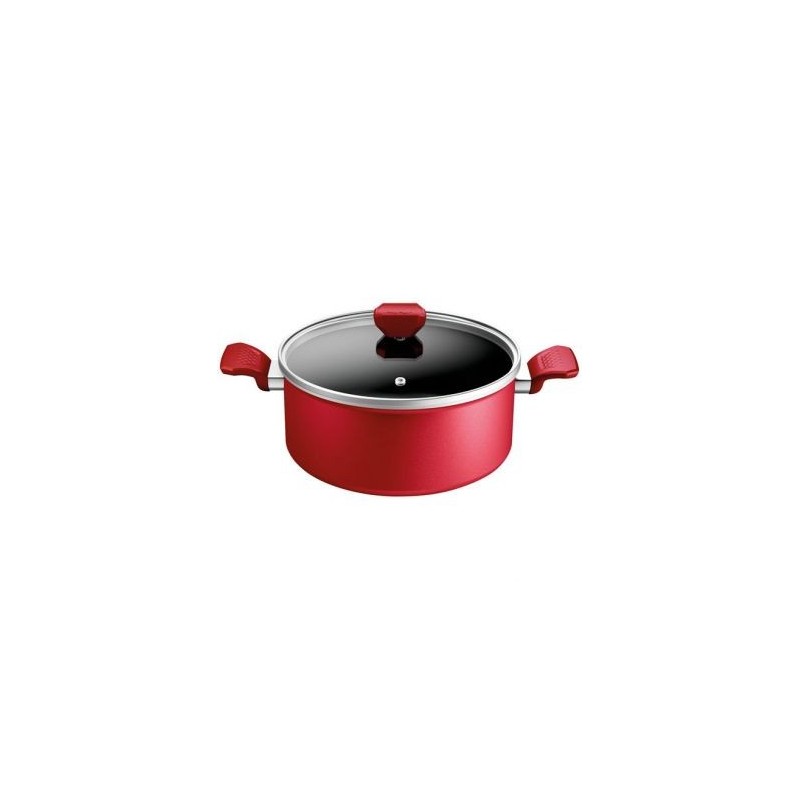 TEFAL Faitout 24 cm - Daily Expert
