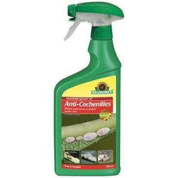NEUDORFF Insecticide cochenilles Spruzit af pae pulvérisateur 750ML