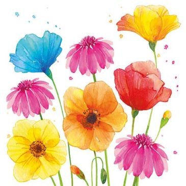 Ambiente Lot 20 serviettes en papier 33 x 33 cm - Fleurs d'Été