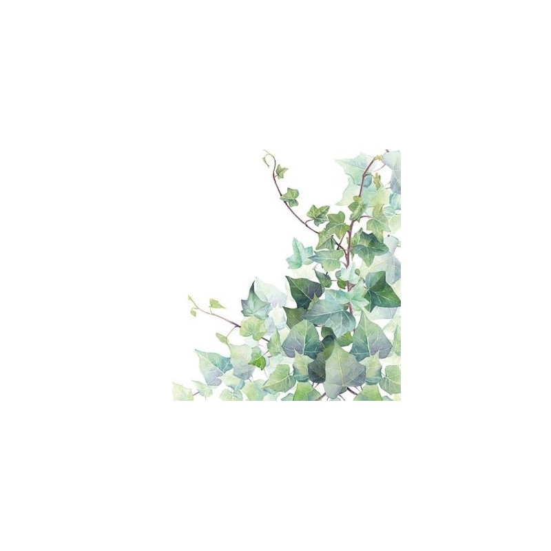 Ambiente Lot 20 serviettes en papier 33 x 33 cm - Feuilles de Lierre