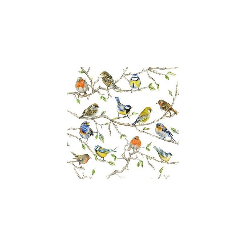 Ambiente Lot 20 serviettes en papier 33 x 33 cm - Réunion d'Oiseaux