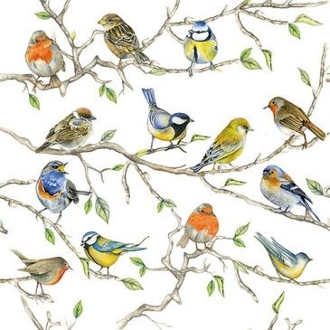 Ambiente Lot 20 serviettes en papier 33 x 33 cm - Réunion d'Oiseaux