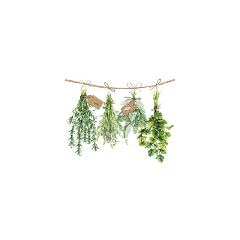 Ambiente Lot 20 serviettes en papier 33 x 33 cm - Herbes Aromatiques