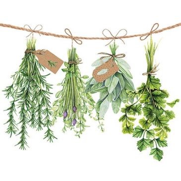 Ambiente Lot 20 serviettes en papier 33 x 33 cm - Herbes Aromatiques