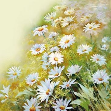 Ambiente Lot 20 serviettes en papier 33 x 33 cm - Face au Soleil