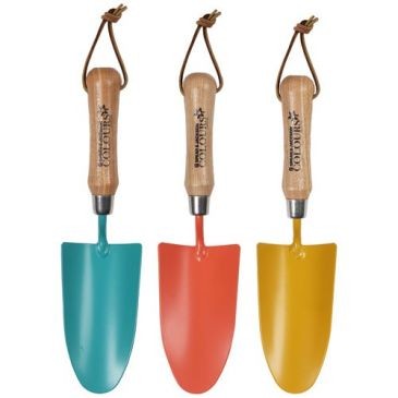 Spear & Jackson Transplantoir colours manche bois assortis