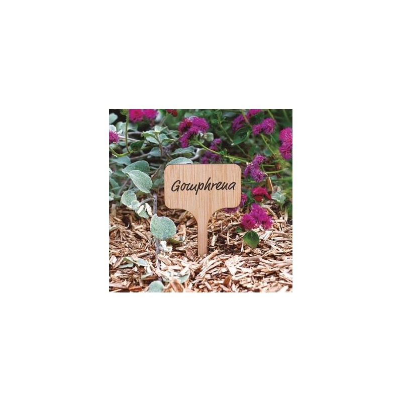 NORTENE 15 étiquettes à planter en bambou 11cm blister de 15