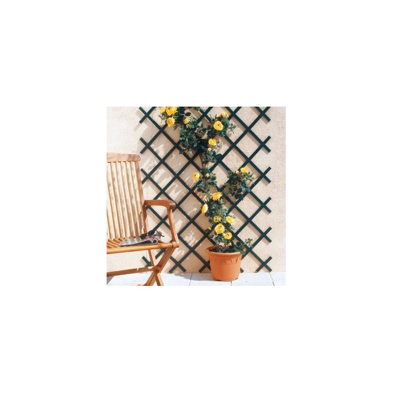 NORTENE Trellis extensible pvc lattes standards 1x2 vert