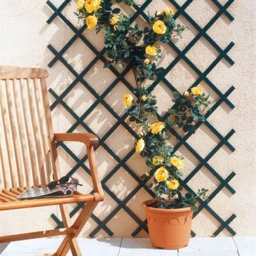 NORTENE Trellis extensible pvc lattes standards 1x2 vert