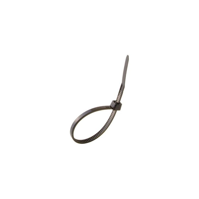Profile Collier 100x2.5mm noir 100 pièces