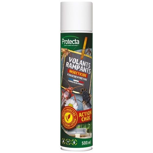 Protecta Insecticide volants rampants bombe 500 ml